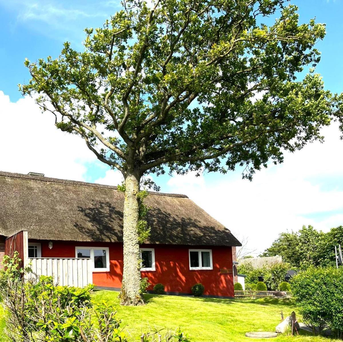 Haus Hanna Dagebuell Exterior photo